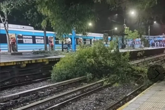 912600-arbol-20ca-c3-addo