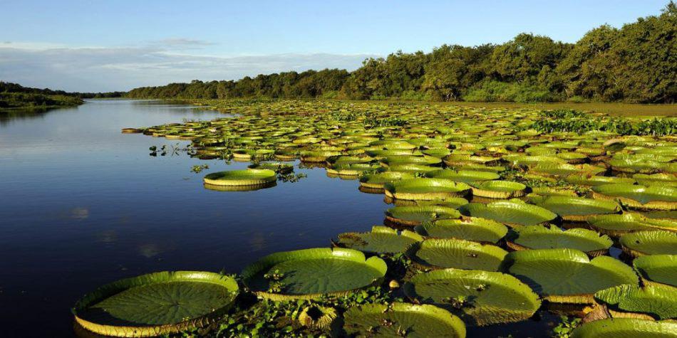 esterosibera-1050x525