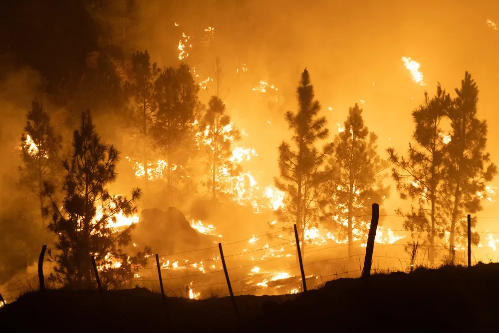 Portada Cordoba en llamas-min
