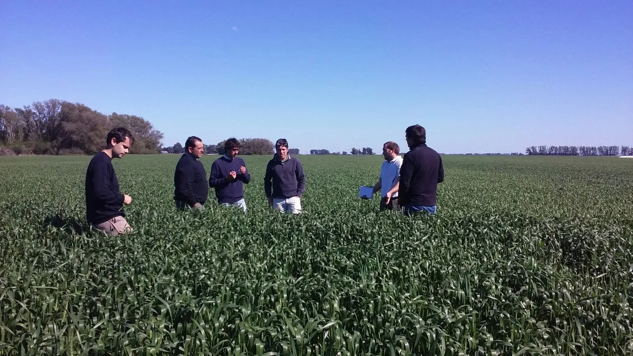 WhatsApp Image 2024-04-26 at 07.57.42