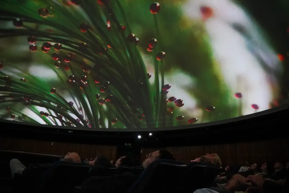 Planetario-MUTEK2025 Instance Coffee & Gavu  - foto de Mateo Cianfoni