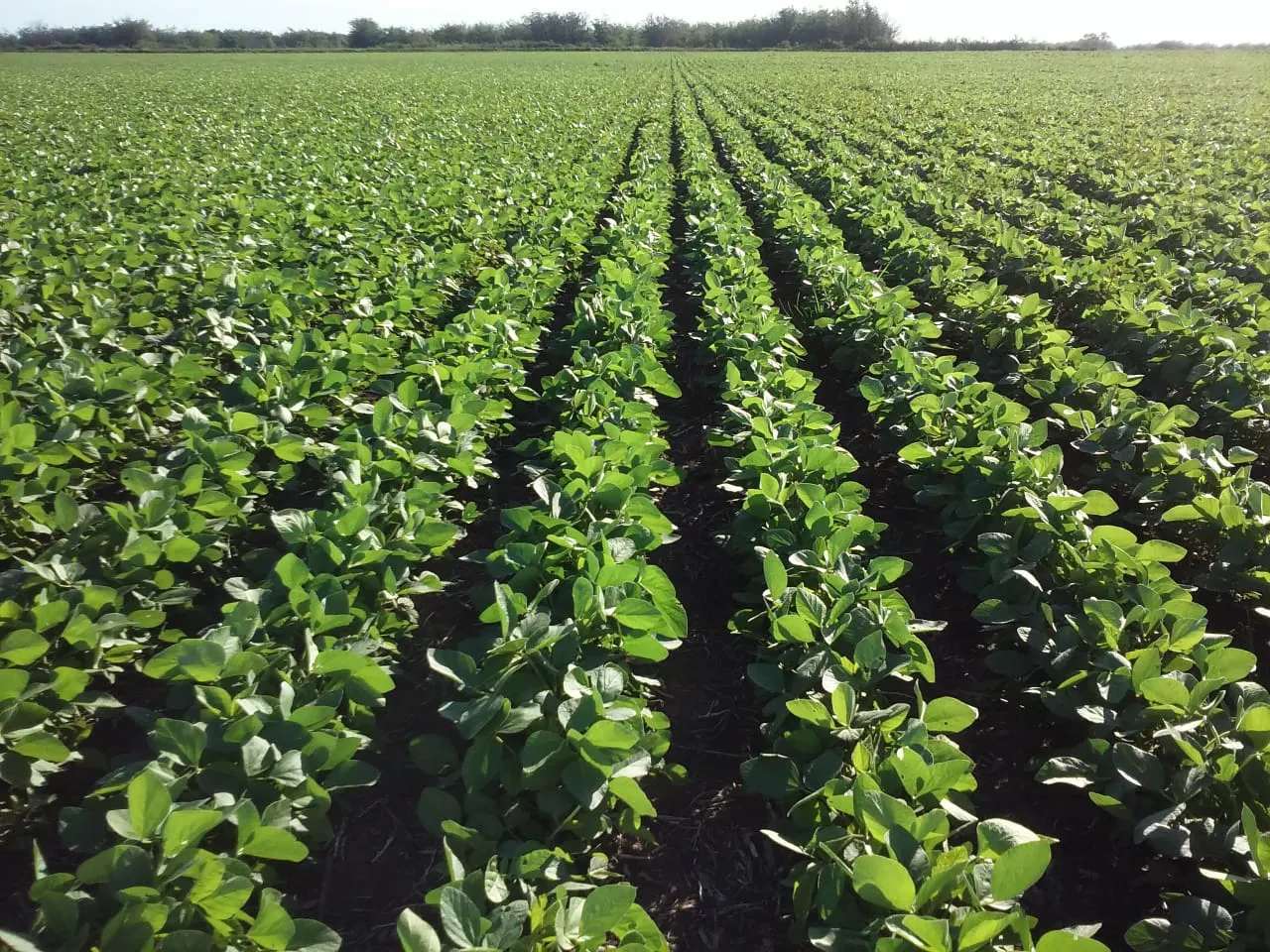 WhatsApp Image 2024-04-26 at 07.57.40